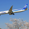 ☀「青い空」が一番 さくらとB787-9 ☮着陸します