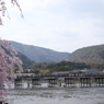 桜橋