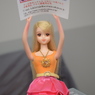 boxdollgarden6-4