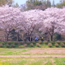 IMG_5302S