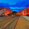 ２０１８夜桜 Ｐａｒｔ４