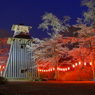 ２０１８夜桜 Ｐａｒｔ７