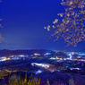 船岡城址桜夜景