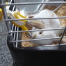 ごくごく
