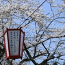 心の木が揺れる