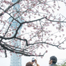 ［９］「桜咲く隅田公園」