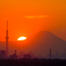 ［３６］「富士山と東京スカイツリー」