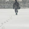 ［４１］「初雪」