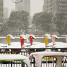 ［３８］「雪化粧」
