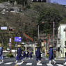 遠托　（APE-1007.）