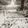 ［４２］「雪化粧」