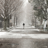 ［４４］「雪化粧」