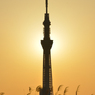 ［５３］「夕日に照らされて」