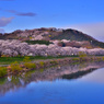 朝の船岡城址公園