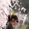 桜美人