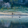 ある朝の光景Ⅱ