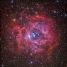 バラ星雲