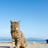 大沢くん。青空の下。