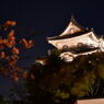 城と桜。
