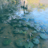 ALLEY OF FROGS