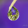 Tears of violet