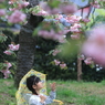 晴れたらいいな