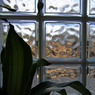 block glass & leaves