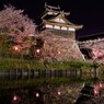郡山城の夜桜