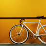 fuji feather white