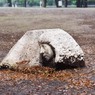 [２]｢物云わぬ物達」(上野公園）