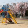 IMG_5047-1