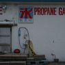 IMGP0219
