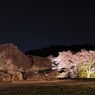 桜の舞台