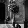traveler