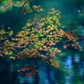 「水面に紅葉」-2