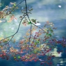 「水面に紅葉」-3