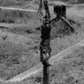 京終　№１2