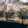 ［４］「日時計」E03-32「桜」’石神井川）2003_03