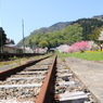 汽車を待てずに３