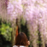 藤祭り盛況