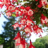 DSC00330