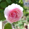 DSC00347