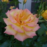 DSC00397