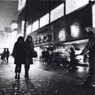 GEKKO_0029
