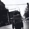 GEKKO_0030