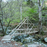 P4290006