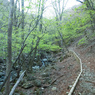 P4290009