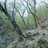 P4290029