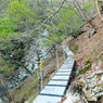 P4290030