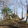 P4290049